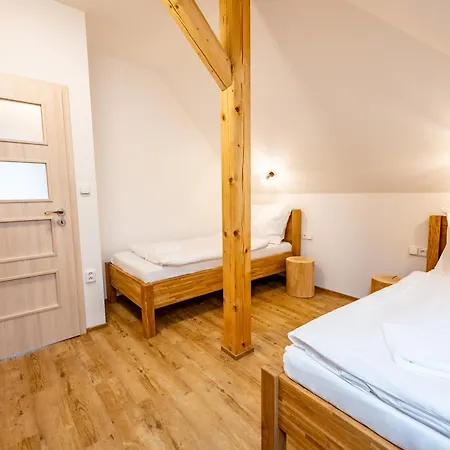 Wellness Zoo Apartmany Lhota Lomnice nad Luznici Exterior photo