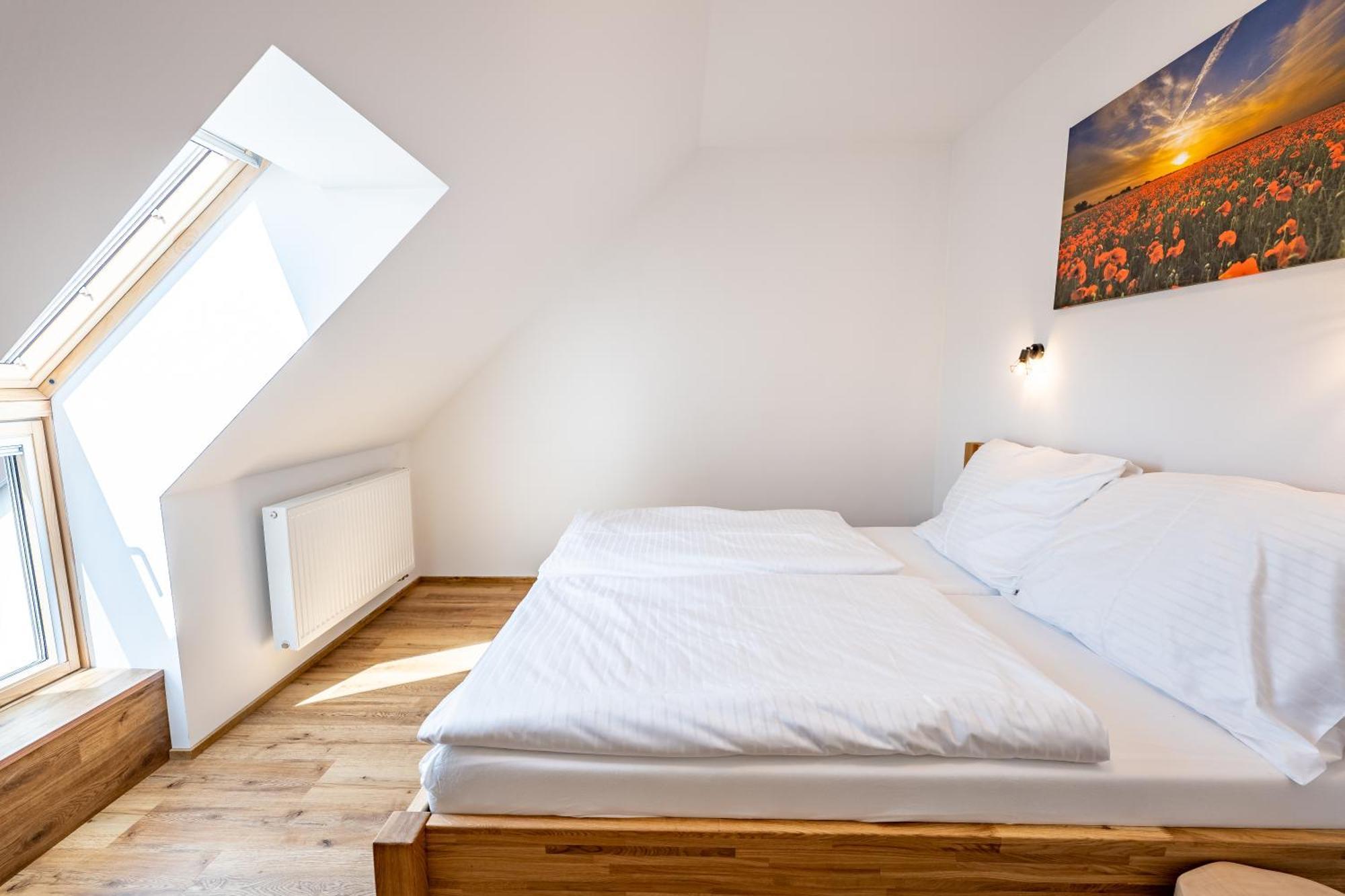 Wellness Zoo Lhota Apartment Lomnice nad Luznici