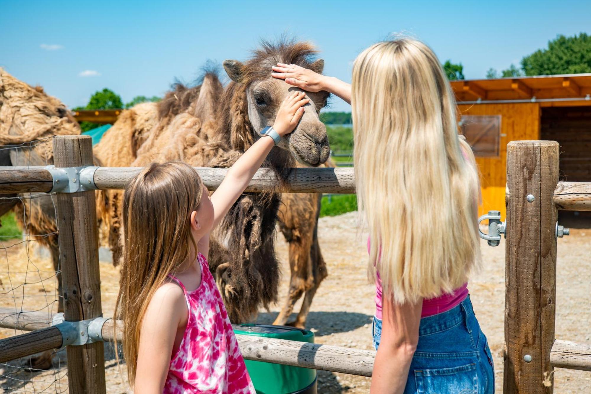 Wellness Zoo Lhota * Lomnice nad Luznici