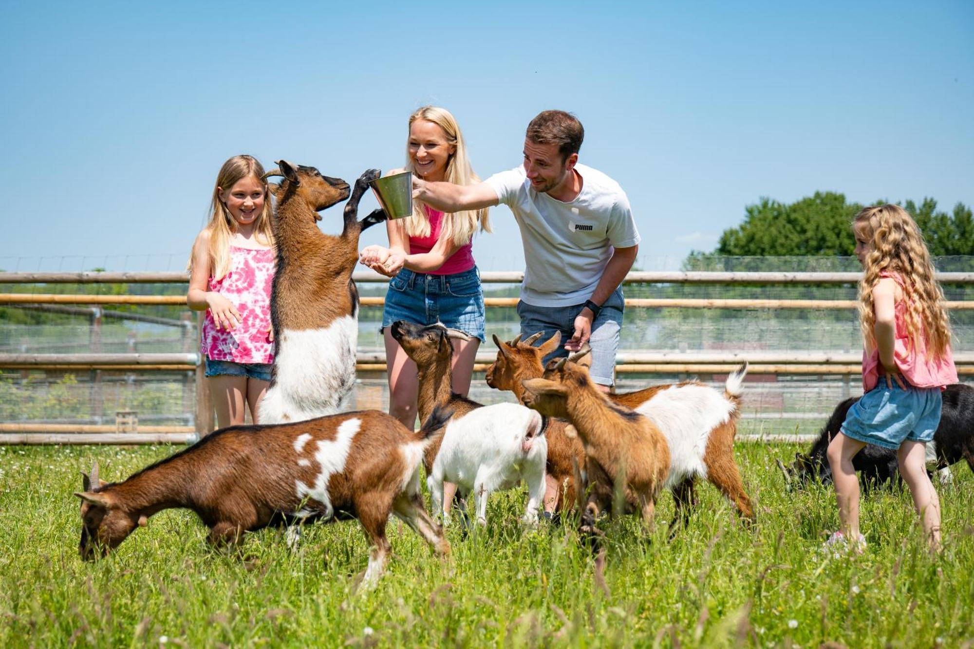 Wellness Zoo Lhota * Lomnice nad Luznici